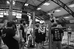 爱游戏app安装-“水上芭蕾与游泳较量:2025世界游泳锦标赛掀起观赛热潮” 第2张